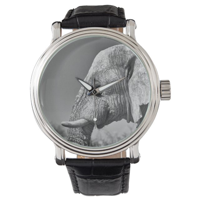 Elephant porträtt armbandsur (Framsida)