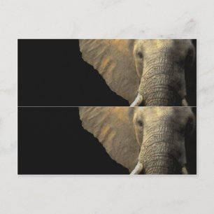 Elephant Porträtt bok markör Vykort