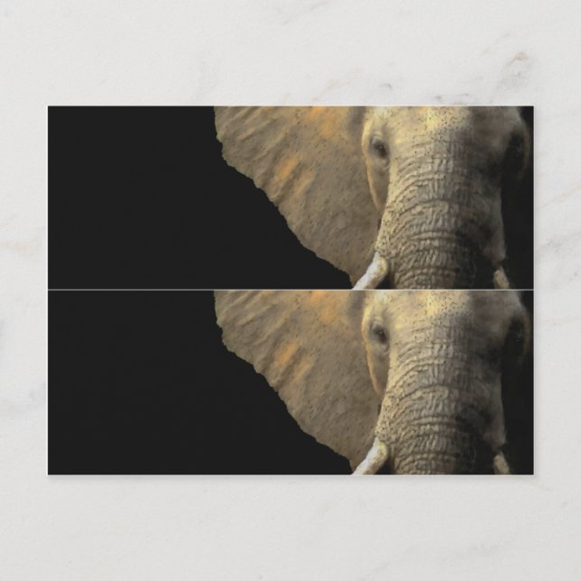 Elephant Porträtt bok markör Vykort (Framsida)