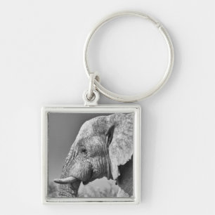 Elephant porträtt fyrkantig silverfärgad nyckelring