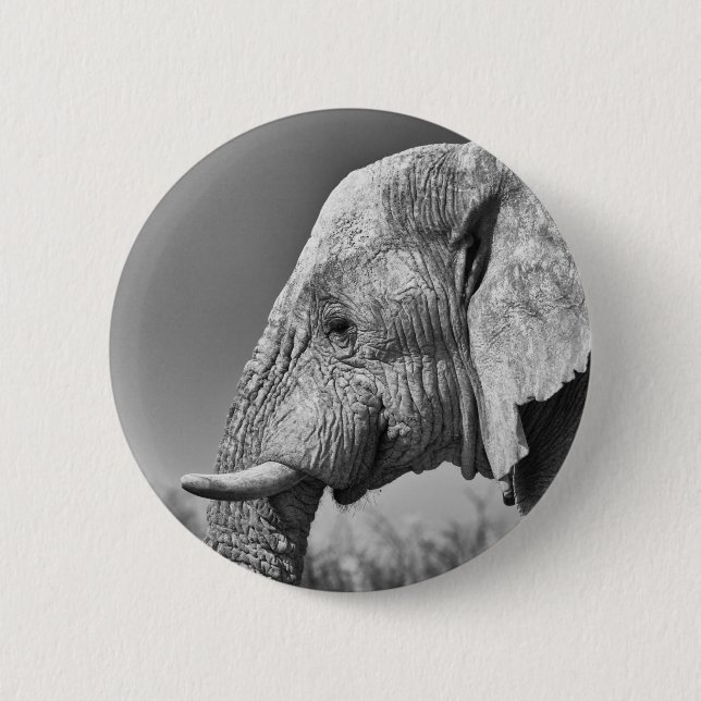 Elephant porträtt knapp (Framsida)