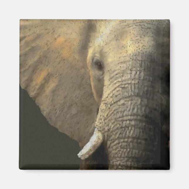 Elephant Porträtt Magnet (Framsidan)