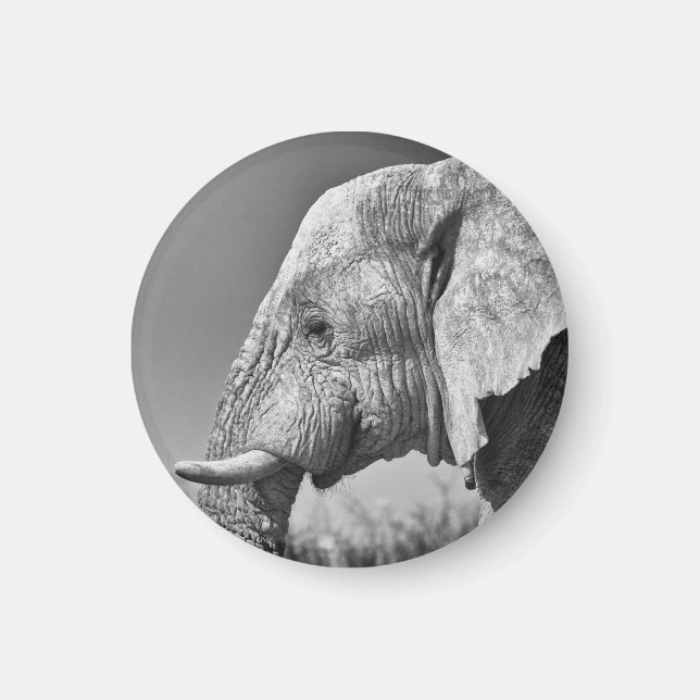 Elephant porträtt magnet (Framsidan)