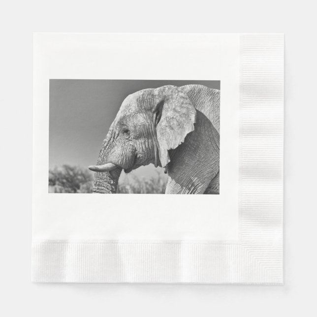 Elephant porträtt pappersservett (Framsidan)