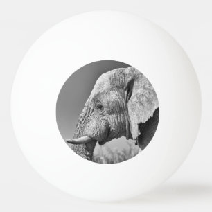 Elephant porträtt pingisboll
