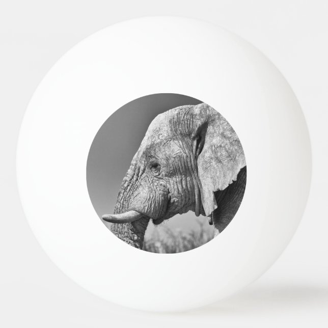 Elephant porträtt pingisboll (Baksidan)