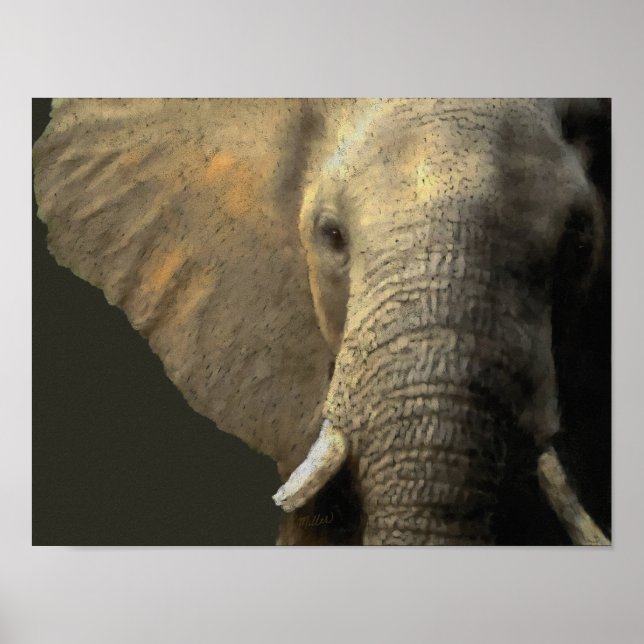 Elephant Porträtt Poster (Framsidan)