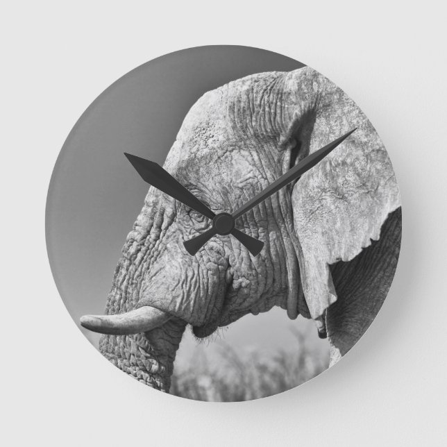 Elephant porträtt rund klocka (Framsida)