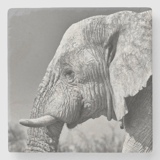 Elephant porträtt stenunderlägg (Framsidan)