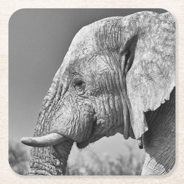 Elephant porträtt underlägg papper kvadrat (Framsidan)