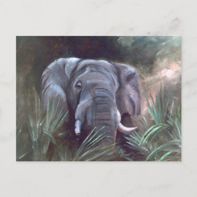 Elephant Porträtt vykort (Framsida)
