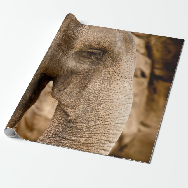 ELEPHANT PRESENTPAPPER (Utrullad)