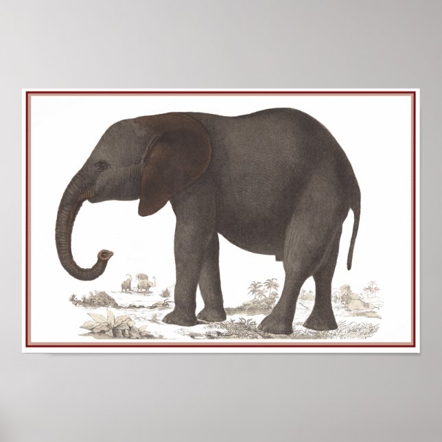 ELEPHANT PRINT POSTER (Framsidan)