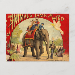 Elephant Red Bok Vykort