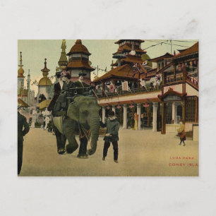 Elephant Ride in Luna Park, Coney Island, 1910 Vykort
