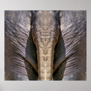 ELEPHANT ROLIGT POSTER