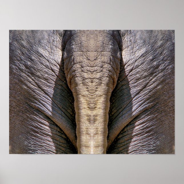 ELEPHANT ROLIGT POSTER (Framsidan)