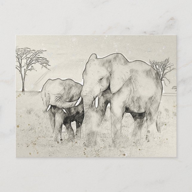 Elephant Safari Sketch-vykort Vykort (Framsida)