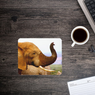 Elephant Scents Wildlife Photography Mousepad Musmatta