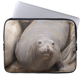Elephant Seal Laptop Fodral