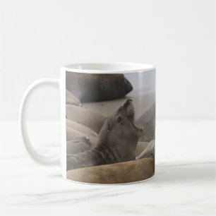 Elephant Seal Rookery San Simeon, CA Kaffemugg