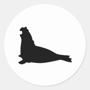 Elephant Seal Sticker Black White Runt Klistermärke