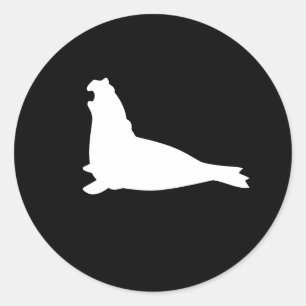 Elephant Seal Sticker White Runt Klistermärke