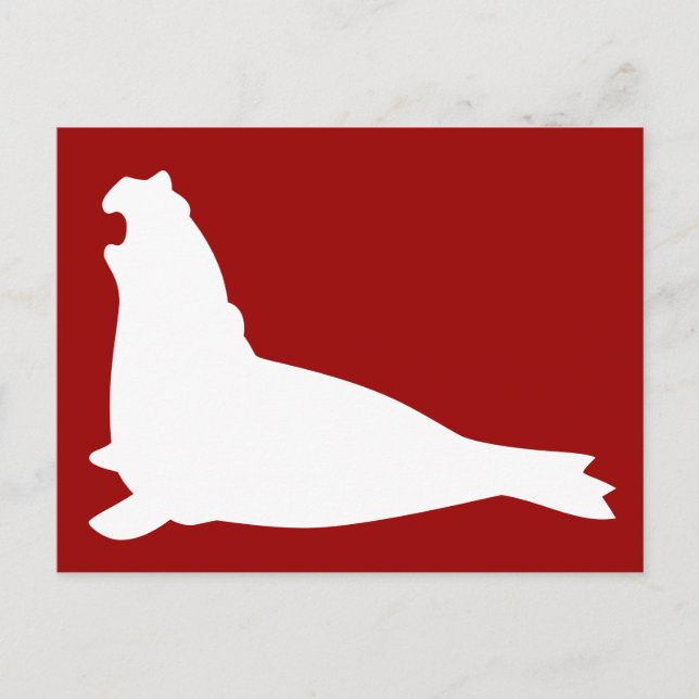 Elephant Seal vycard White Vykort (Framsida)