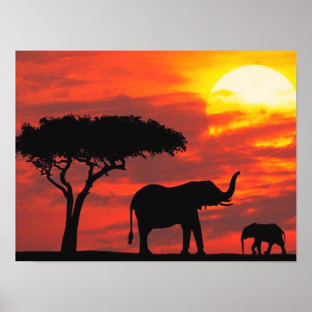 Elephant Silhouette Scene med Orange Himlar Poster (Framsidan)