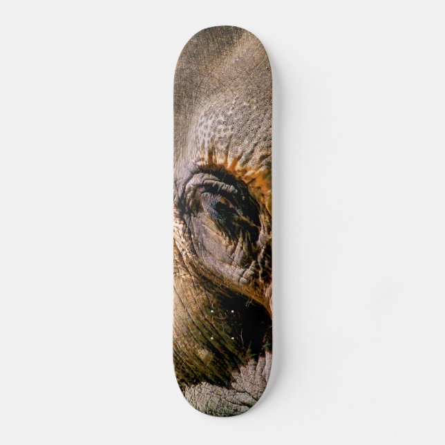 ELEPHANT SKATEBOARD BRÄDA 20 CM (Framsida)