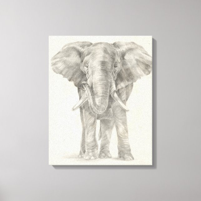 Elephant Sketch Canvastryck (Framsida)