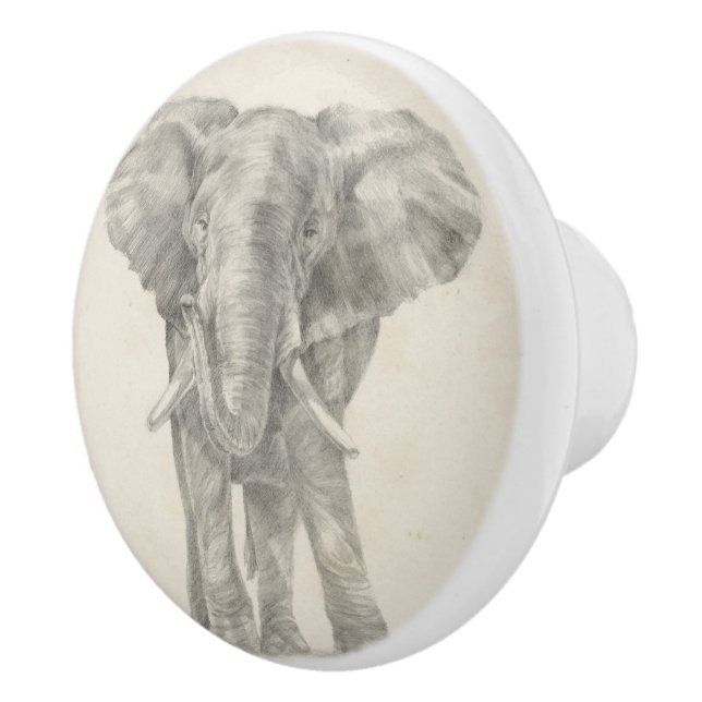 Elephant Sketch Knopp (Höger)