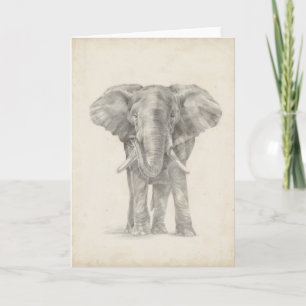 Elephant Sketch Kort