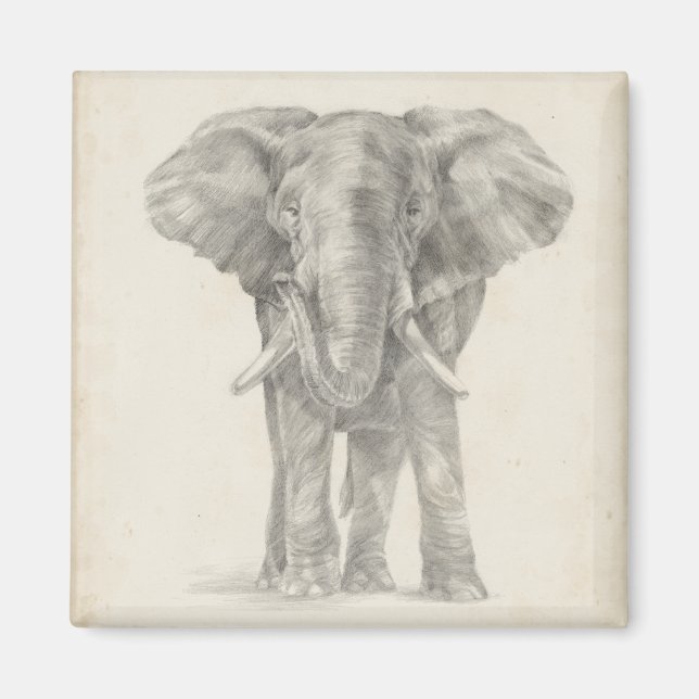 Elephant Sketch Magnet (Framsidan)