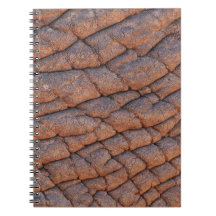 Elephant Skin