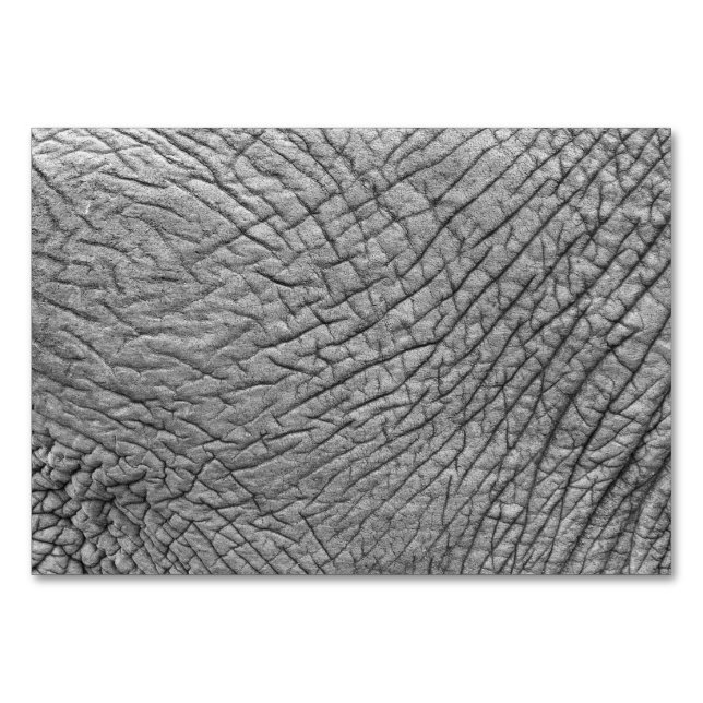 Elephant skin bordsnummer (Baksidan)