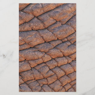 Elephant Skin Brevpapper