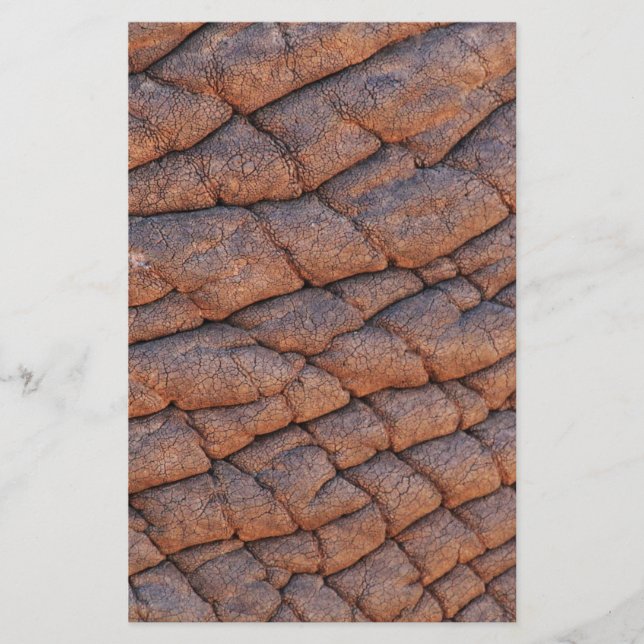 Elephant Skin Brevpapper (Framsida)