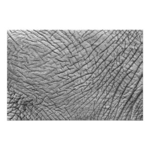Elephant skin fototryck