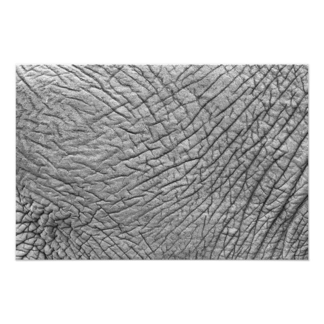 Elephant skin fototryck (Framsidan)