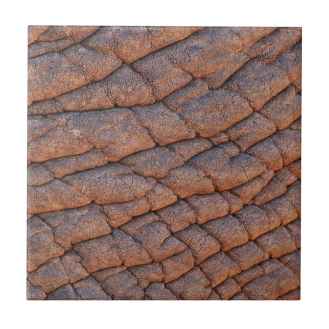 Elephant Skin Kakelplatta (Framsidan)