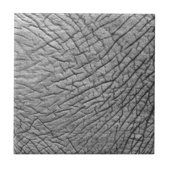 Elephant skin kakelplatta (Framsidan)