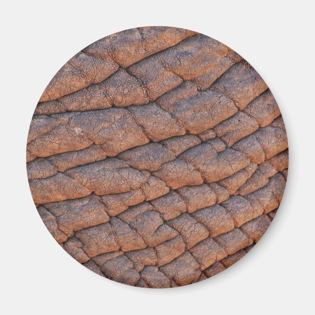 Elephant Skin Magnet (Framsidan)