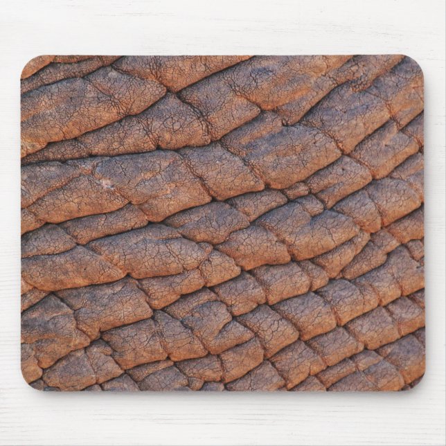 Elephant Skin Musmatta (Framsidan)