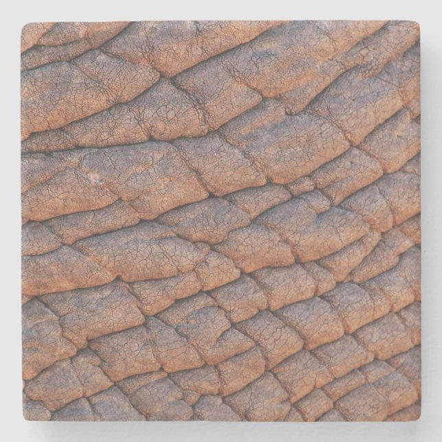 Elephant Skin Stenunderlägg (Framsidan)
