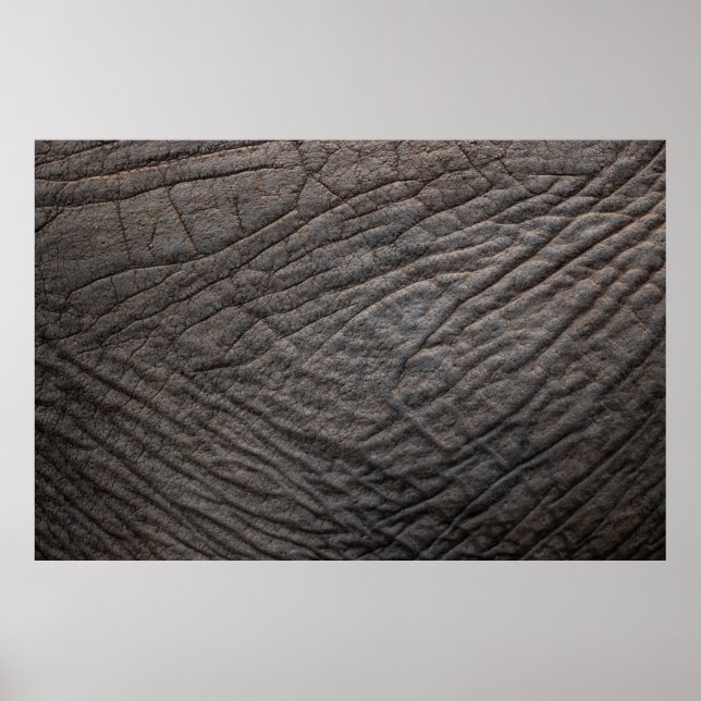 Elephant skin struktur pachyderm poster (Framsidan)