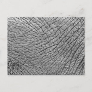 Elephant skin vykort