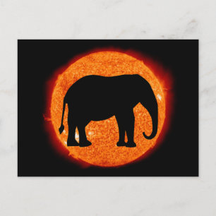 Elephant Solar Eclipse Vykort