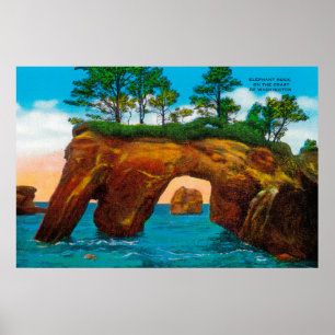 Elephant Sten på Washington Kusten Poster
