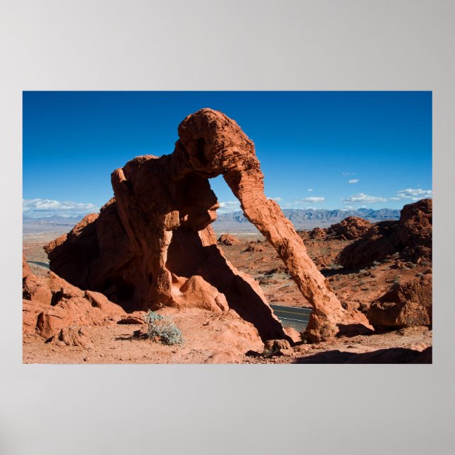 Elephant Sten Poster (Framsidan)